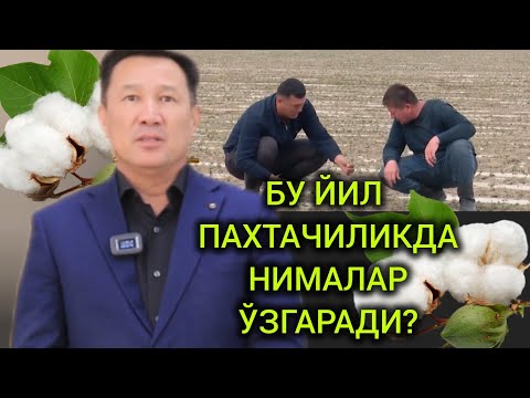 Видео: БУ ЙИЛ ПАХТАЧИЛИКДА НИМАЛАР ЎЗГАРАДИ? #fermer #фермер #paxta #пахта #UzA