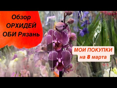 Видео: 🔴 МОИ ПОКУПКИ. Обзор орхидей ОБИ 8 марта #8марта #женскийдень #новыеорхидеи #обзорорхидей #цветы