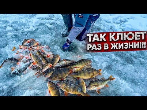 Видео: ТАКОЙ ПЕРВЫЙ лёд бывает ТОЛЬКО в ЯКУТИИ! ОТКРЫЛ сезон БЕЗУМНЫМ клевом ГОРБАЧЕЙ и ЩУК!