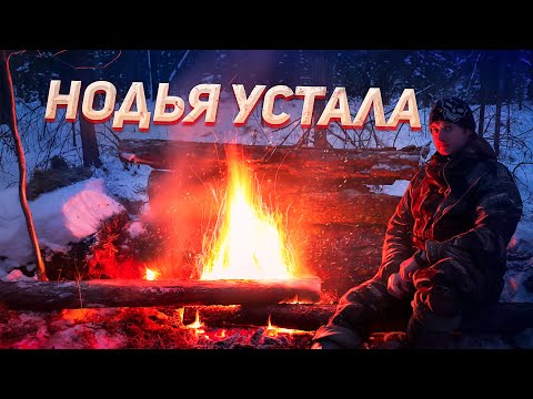 Видео: Костёр - будильник. Уставшая Нодья.