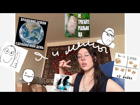 Видео: как мемы сделали из меня человека