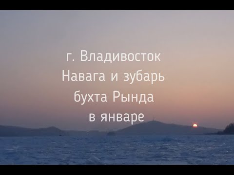 Видео: Зимняя рыбалка в январе на о Русском б Рында  Пригород Владивостока