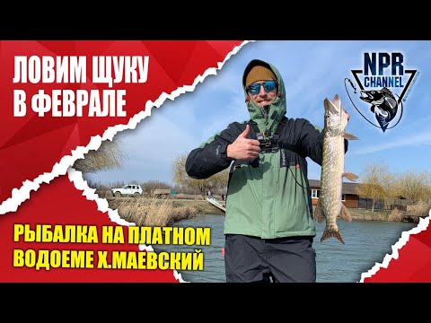 Видео: Ловим щуку в Феврале ! Рыбалка на платном водоеме х. Маевский!