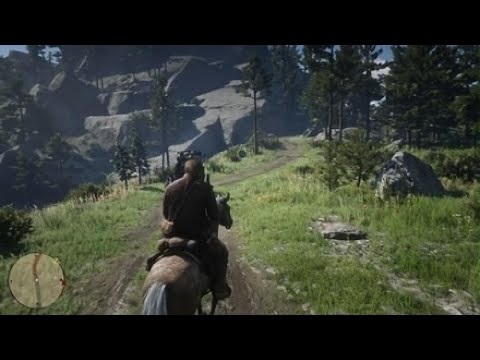 Видео: Red Dead Redemption 2 ⚔️Охота на медведя