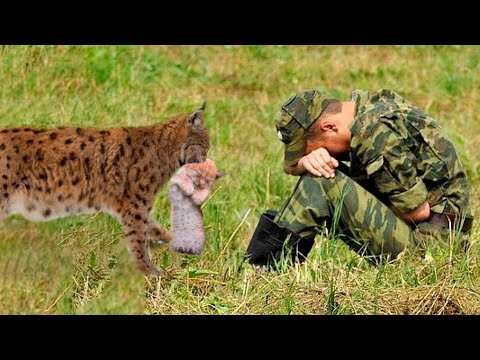 Видео: Вернувшись с армии, он потерял всё и не знал как жить, пока однажды не встретил их