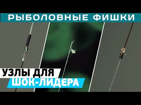 Видео: Как привязать ШОК-ЛИДЕР к леске? ТОП карповых узлов! #РыболовныеФишки