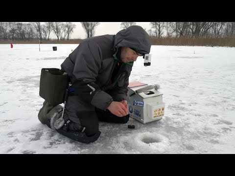 Видео: НАЙТИ и СЛОВИТЬ любую РЫБУ во что бы то ни стало! Зимний Рогачев 2023