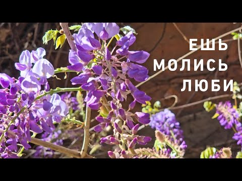 Видео: Ну что готовы?😁⁉️ Быстрым шагом по РИМСКИМ прелестям🛵💃‼️Не отставать, мои сладкие🤗🤩 Вперёд 🥳🥳