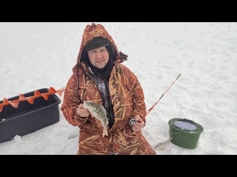 Видео: рыбалка Костанай,оз.Речное