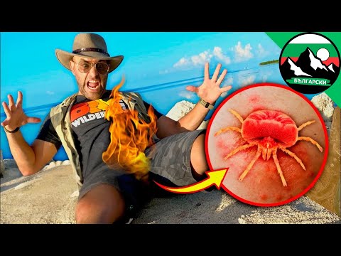 Видео: Ухапан от чигери: Койот става жива храна за невидими чудовища в гората | Brave Wilderness Български