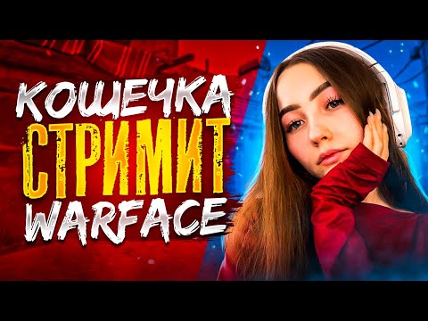 Видео: КОШЕЧКА СТРИМИТ WARFACE🤍