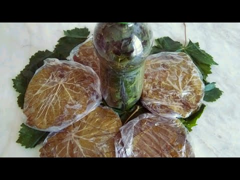 Видео: Виноградные листья для Долмы-Заготовка на Зиму-два Способа.