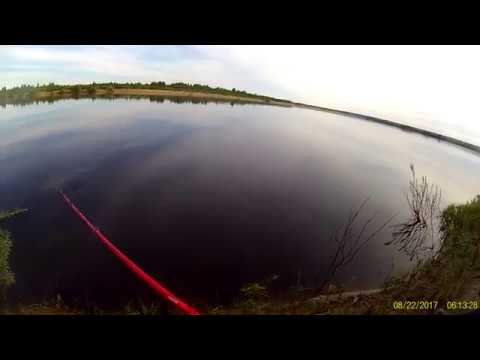 Видео: Рыбалка, река Вага Архангельская обл. 2017(рыбака в половодье)