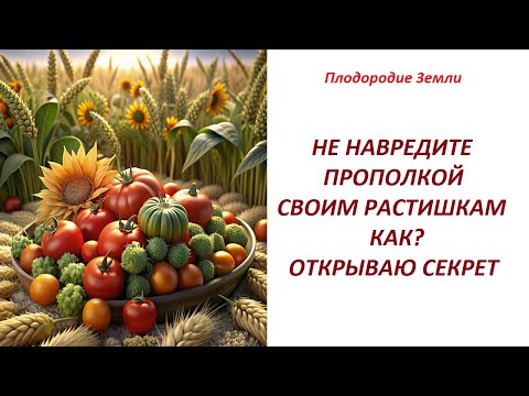 Видео: Как удобрять растения сорняками! Как не навредить прополкой №636/24