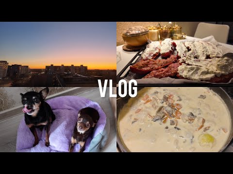 Видео: Добрые утры с собаками 🐕‍🦺🐩| Готовим куриную подливу с шампиньонами | перцы в духовке !🌶🥣| закат 🌤