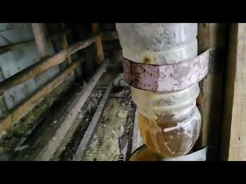 Видео: Модульные насесты. Семь месяцев спустя 