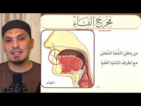 Видео: МАХРАДЖ ФА (الفاء), УАУ (الواو), БА (الباء), МИМ (الميم) | ГУБНЫЕ БУКВЫ