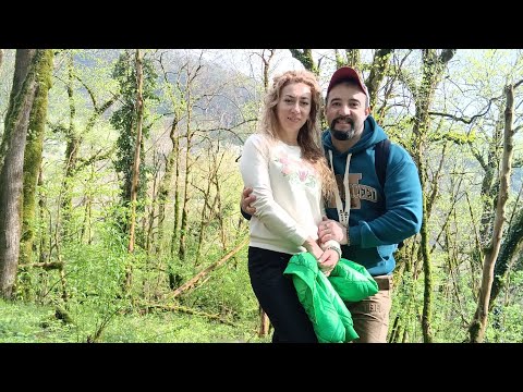 Видео: Тисо-самшитовая роща и гора Ахун