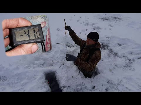 Видео: -40 ...Руль кручу, харюзей опять хочу...