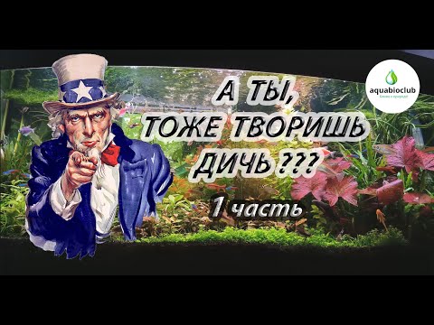 Видео: Ужасные ошибки аквариумистов. Будь умнее!