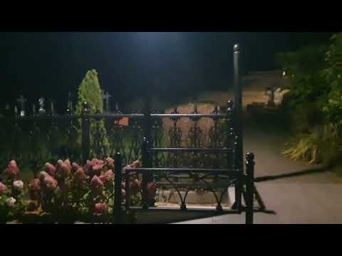 Видео: Оптина Пустынь. День жизни сельского священника.