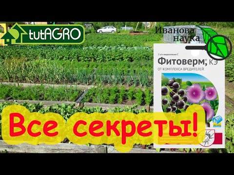 Видео: ВСЁ, ЧТО НАДО ЗНАТЬ ПРО ФИТОВЕРМ и АКТОФИТ. Подробности, которых нет на этикетке!