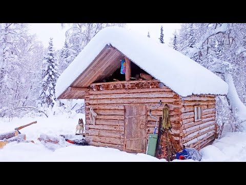 Видео: НОЧУЕМ В ИЗБЕ С КОШКОЙ / НА УЛИЦЕ - 40, А МЫ ЖИВЁМ В ТАЙГЕ НЕ СМОТРЯ НА ХОЛОД / ОХОТА НА РЯБЧИКА.