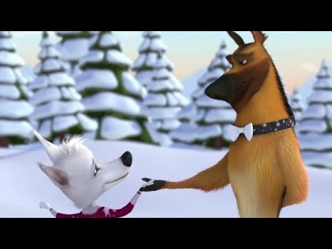 Видео: Белка и Казбек: Золотой Рыбкой😍