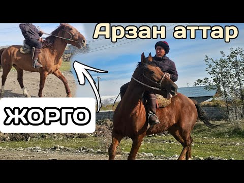 Видео: арзан аттар АРАСЫНДА ЖОРГО БАР