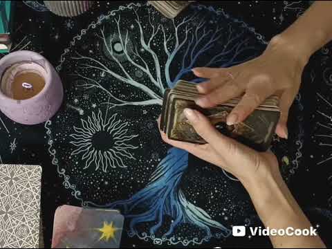 Видео: Ваша история любви. Ваш дальнейший путь ♥️🧘‍♀️ #таро 