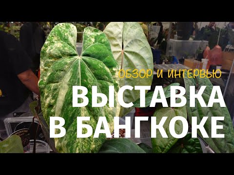 Видео: Выставка растений в Бангкоке (Тайланд)