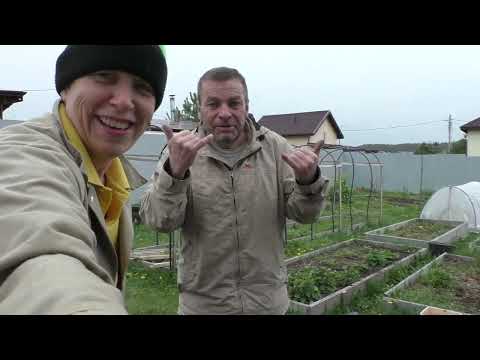 Видео: Замена решетчатого забора. 28-29 мая 2024