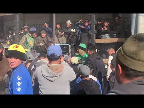 Видео: Манас Ниязов палван Лейлекте улак-тартышта чоң улак 