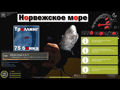 Видео: Троллинг на мертвую рыбу • Гигантская акула • Норвежское Море • Русская Рыбалка 4