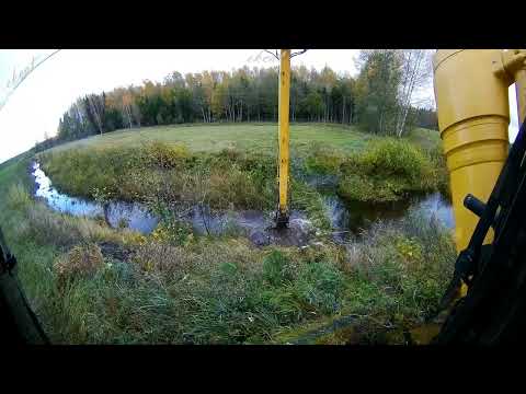 Видео: За 5 минут разрушили многодневный труд бобра