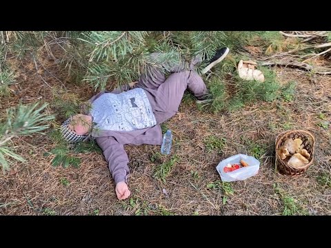 Видео: Что еще делать в праздник,тем более если живешь в лесу! Грибов много не бывает,перекур и снова в лес