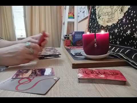 Видео: Животрепещущие свежие сплетни 🔥👥🙀