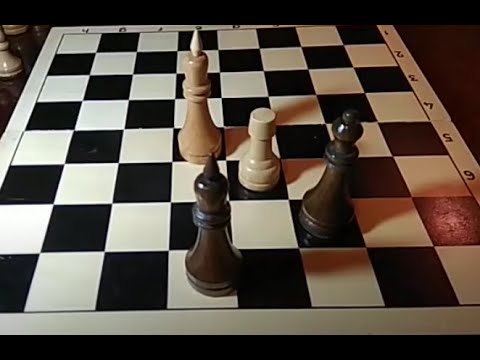 Видео: Урок 197. Несколько простых окончаний Визави шахмат.