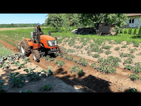 Видео: Независимый тест окучников Kerland ОК-300 на Кентавре Т-24 Pro