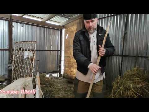 Видео: Теперь Наш жеребчик не будет Скучать.