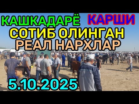 Видео: 5.10.2025 СОТИБ ОЛИНГАН РЕАЛ НАРХЛАР КАРШИ КАРВОН МОЛ БОЗОРИДА 