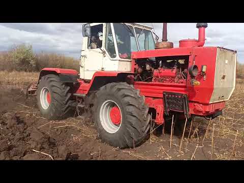 Видео: ‼️🆘Страшна оранка 2025 т 150 оре чемодани ‼️💪👌☠️