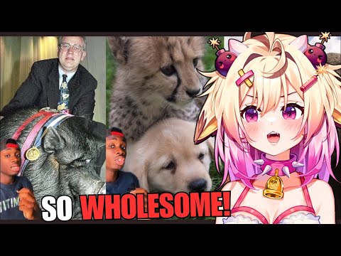 Видео: Видео, которое гарантированно заставит вас улыбнуться! Реакция Rosiebellmoo на Casual Geographic