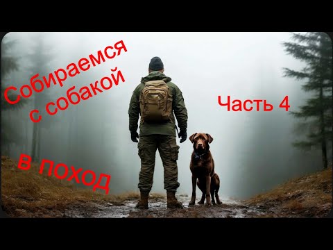 Видео: в поход с собакой 4