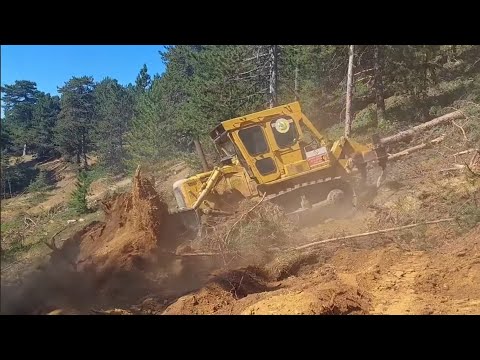 Видео: Легендарный бульдозер Cat D7g работает в одной секции #dozer #bulldozer
