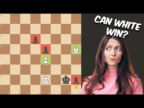 Видео: 300-летняя гениальная шахматная головоломка