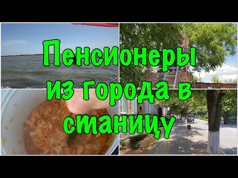 Видео: 267ч🏡Летний душ 🚿 Заготовки на зиму/И конечно море 🌊