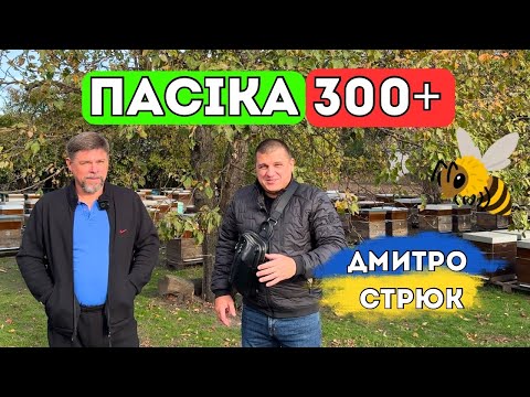 Видео: Бджільництво Братів Стрюк 🐝 Полтавщина 🍯