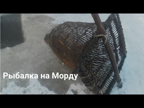 Видео: Зарисовки о рыбалке: Рыбалка на морду.