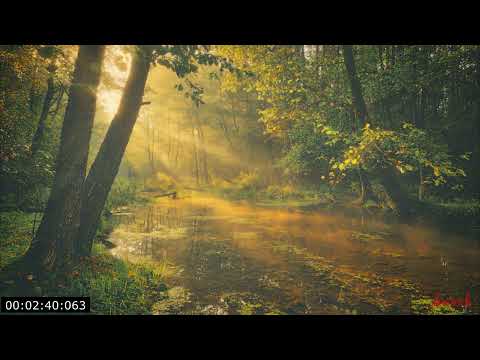 Видео: Я устал.